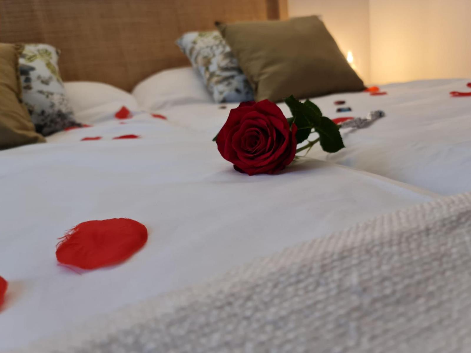 Hotel Camino De Las Estrellas Serranillos Ngoại thất bức ảnh